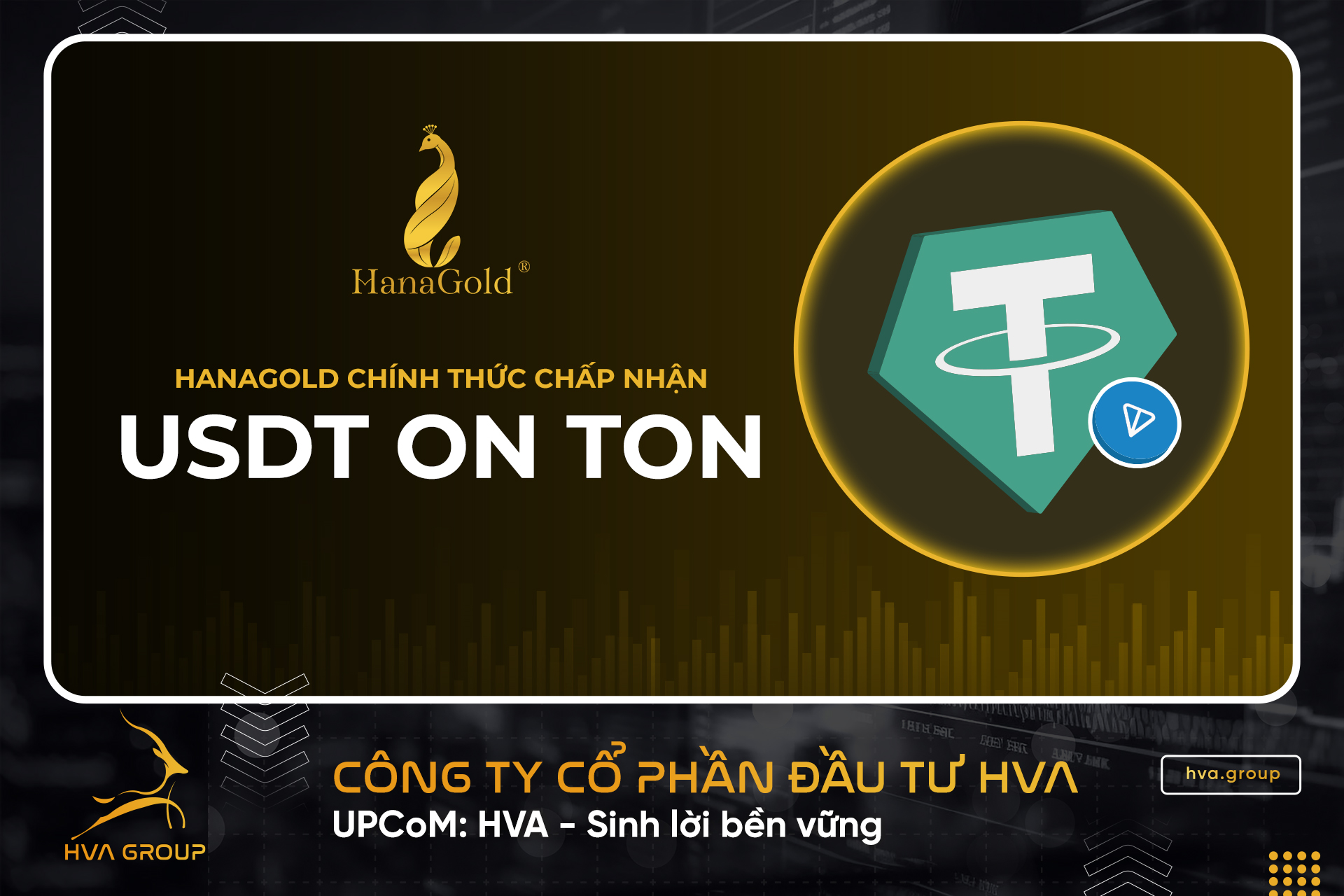 HANAGOLD HOLDINGS PTE.LTD (SINGAPORE) OFFICIALLY ACCEPTS USDT ON TON - HVA  Group