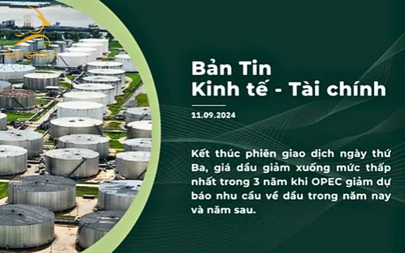 BẢN TIN KINH TẾ TÀI CHÍNH NGÀY 11.09.2024