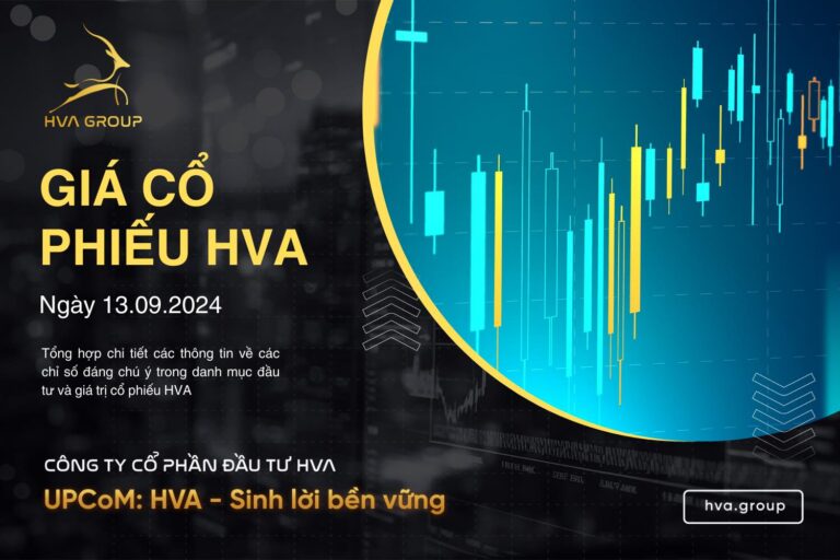 GIÁ CỔ PHIẾU HVA NGÀY 13/09/2024