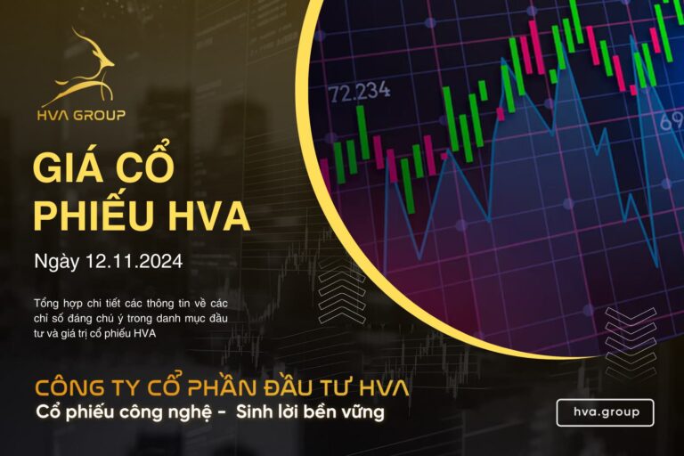 GIÁ CỔ PHIẾU HVA NGÀY 12/11/2024