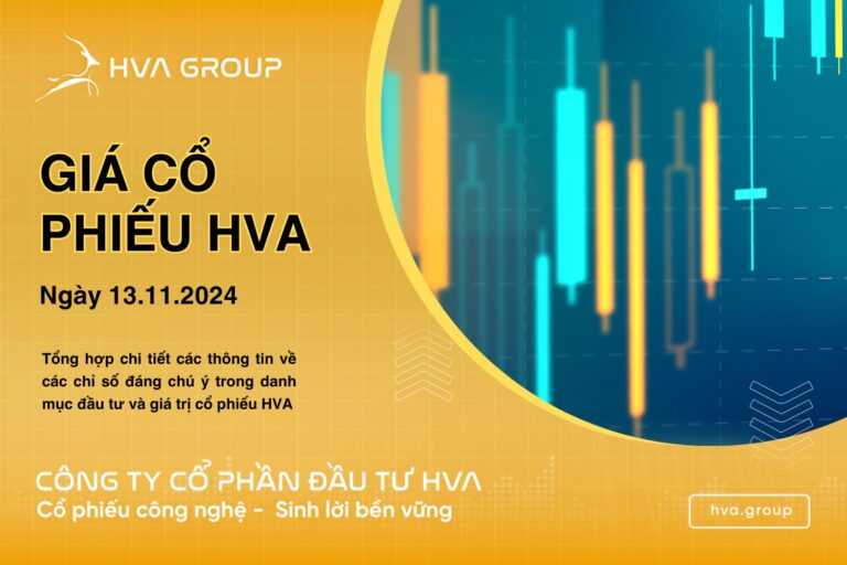 GIÁ CỔ PHIẾU HVA NGÀY 13/11/2024