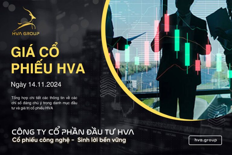 GIÁ CỔ PHIẾU HVA NGÀY 14/11/2024