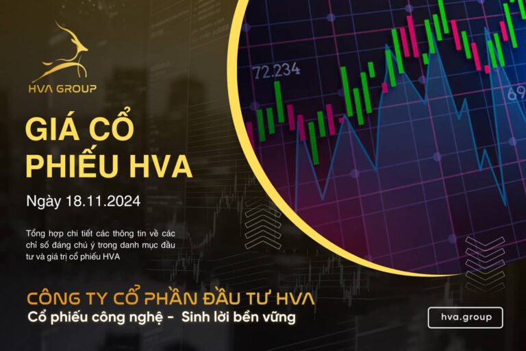 GIÁ CỔ PHIẾU HVA NGÀY 18/11/2024