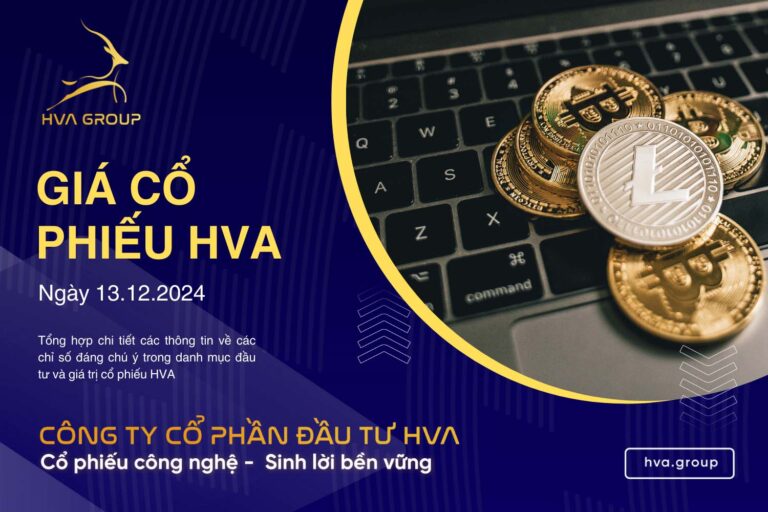 GIÁ CỔ PHIẾU HVA NGÀY 13/12/2024