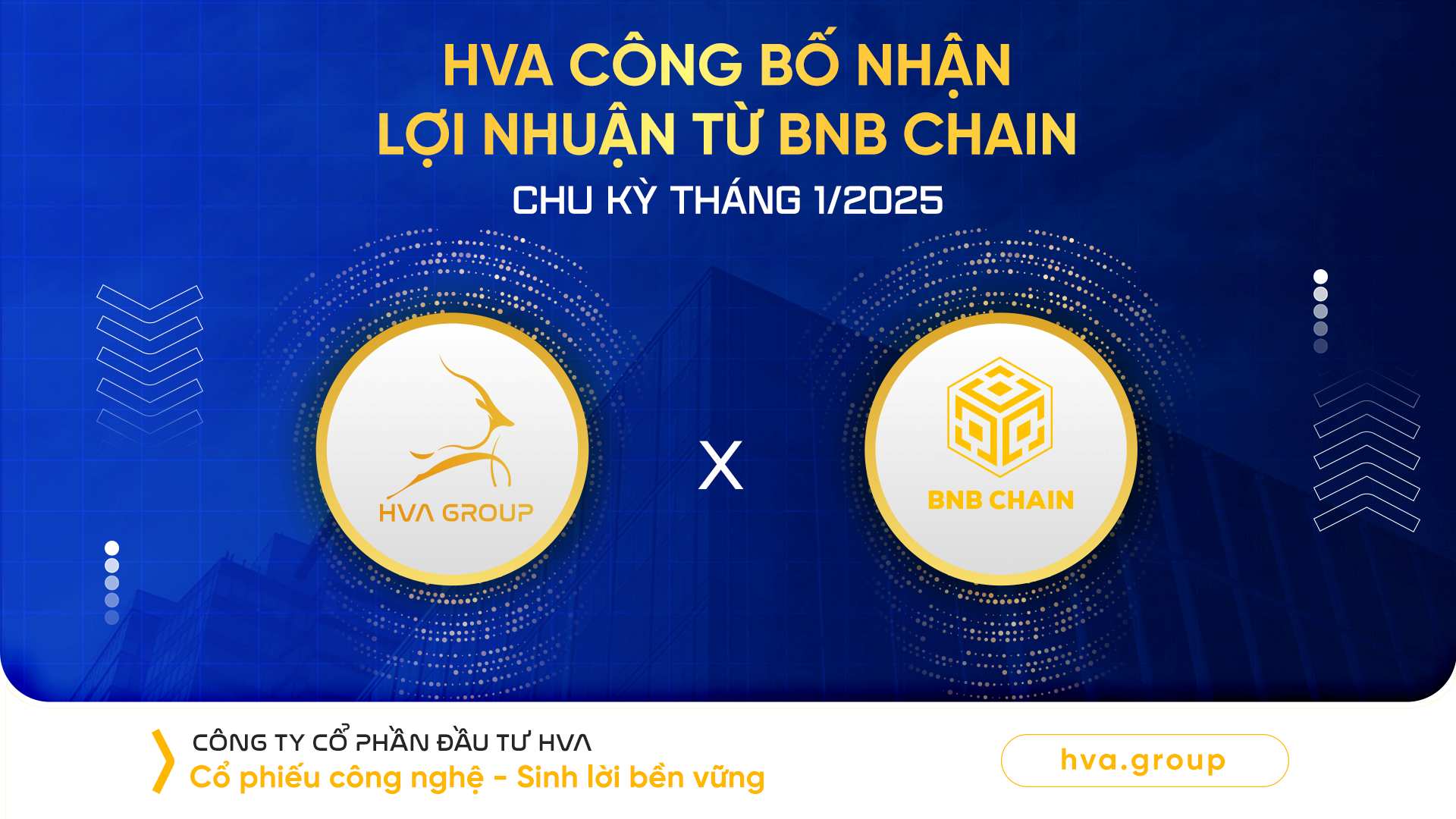 HVA ANNOUNCES RECEIVING PROFIT FROM BNB CHAIN CYCLE 01/2025