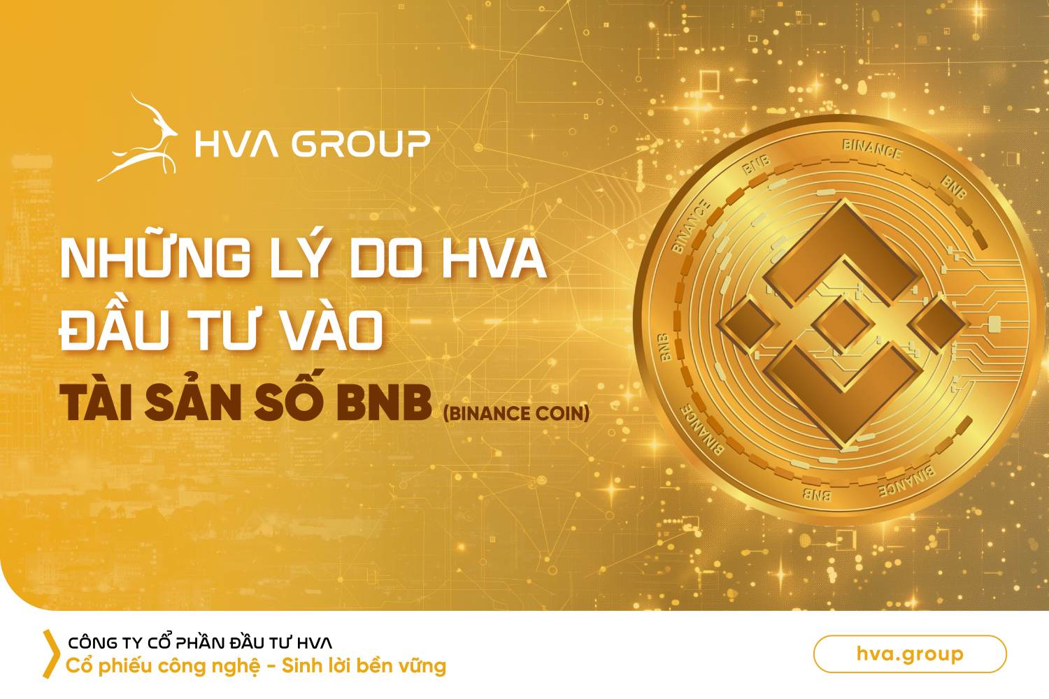 REASONS WHY HVA INVESTS IN DIGITAL ASSETS BNB (BINANCE COIN)