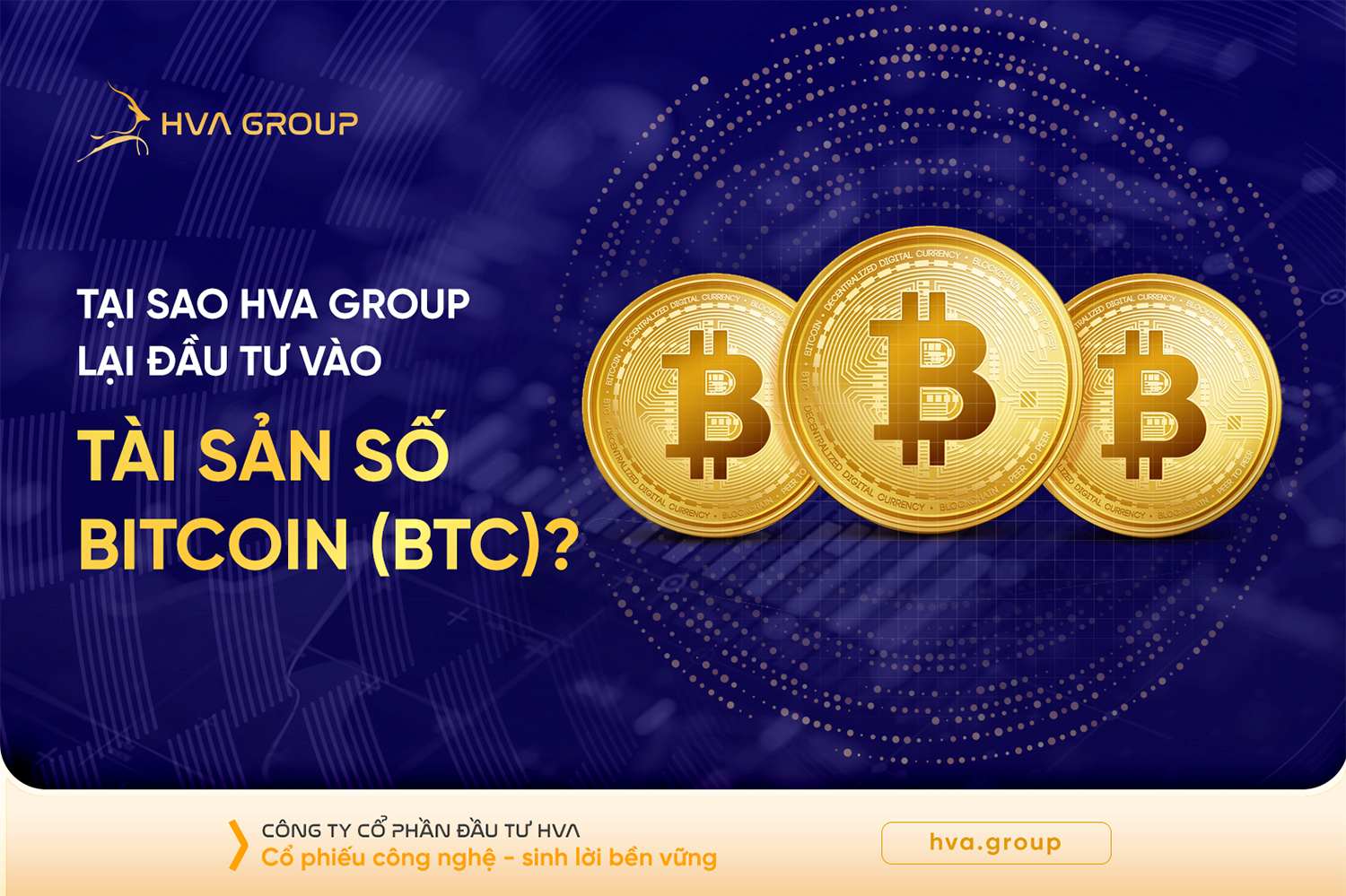 Why Does HVA Group Invest In Digital Assets Bitcoin (BTC)?