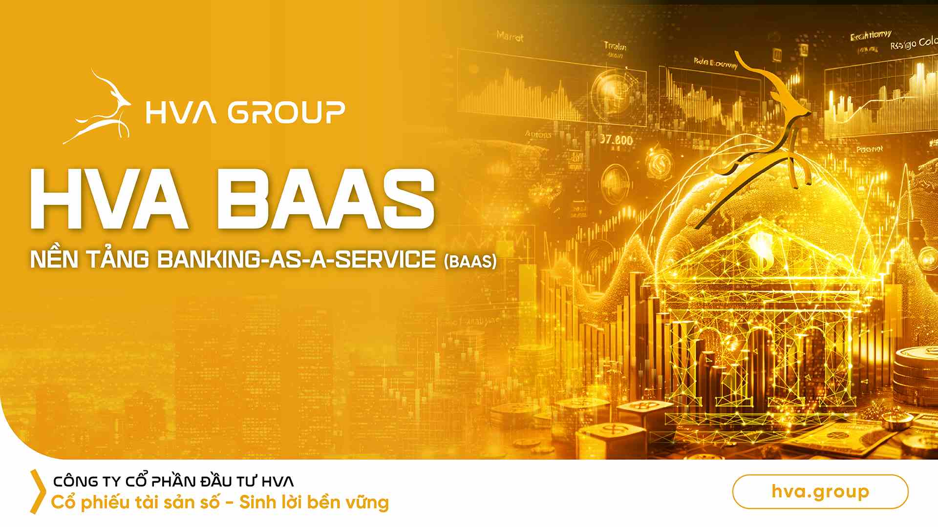 HVA BAAS – Banking-as-a-Service (BaaS) Platform