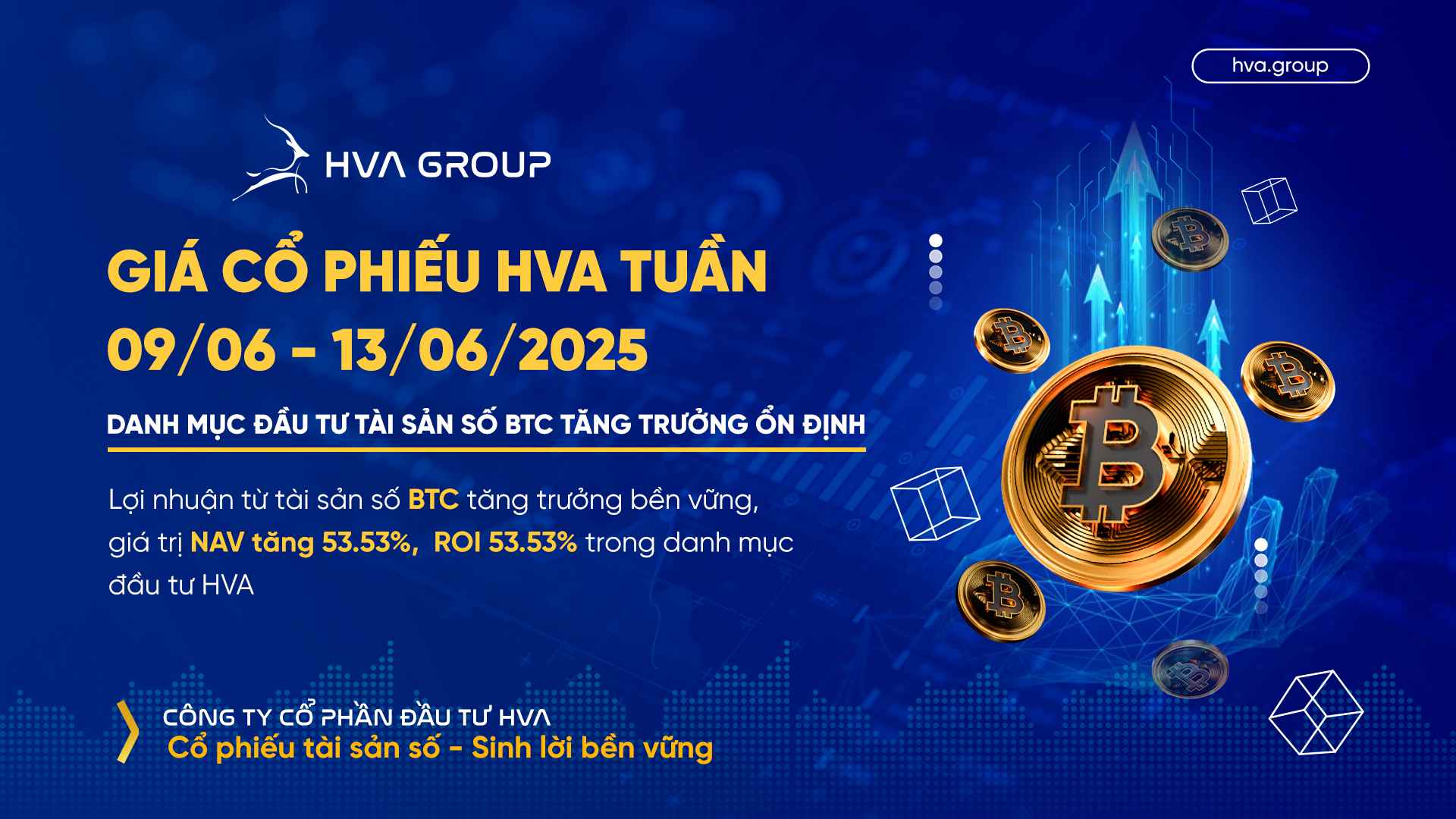 hva-stock-price-week-09-06-13-06-btc-asset-investment-portfolio-steady-growth