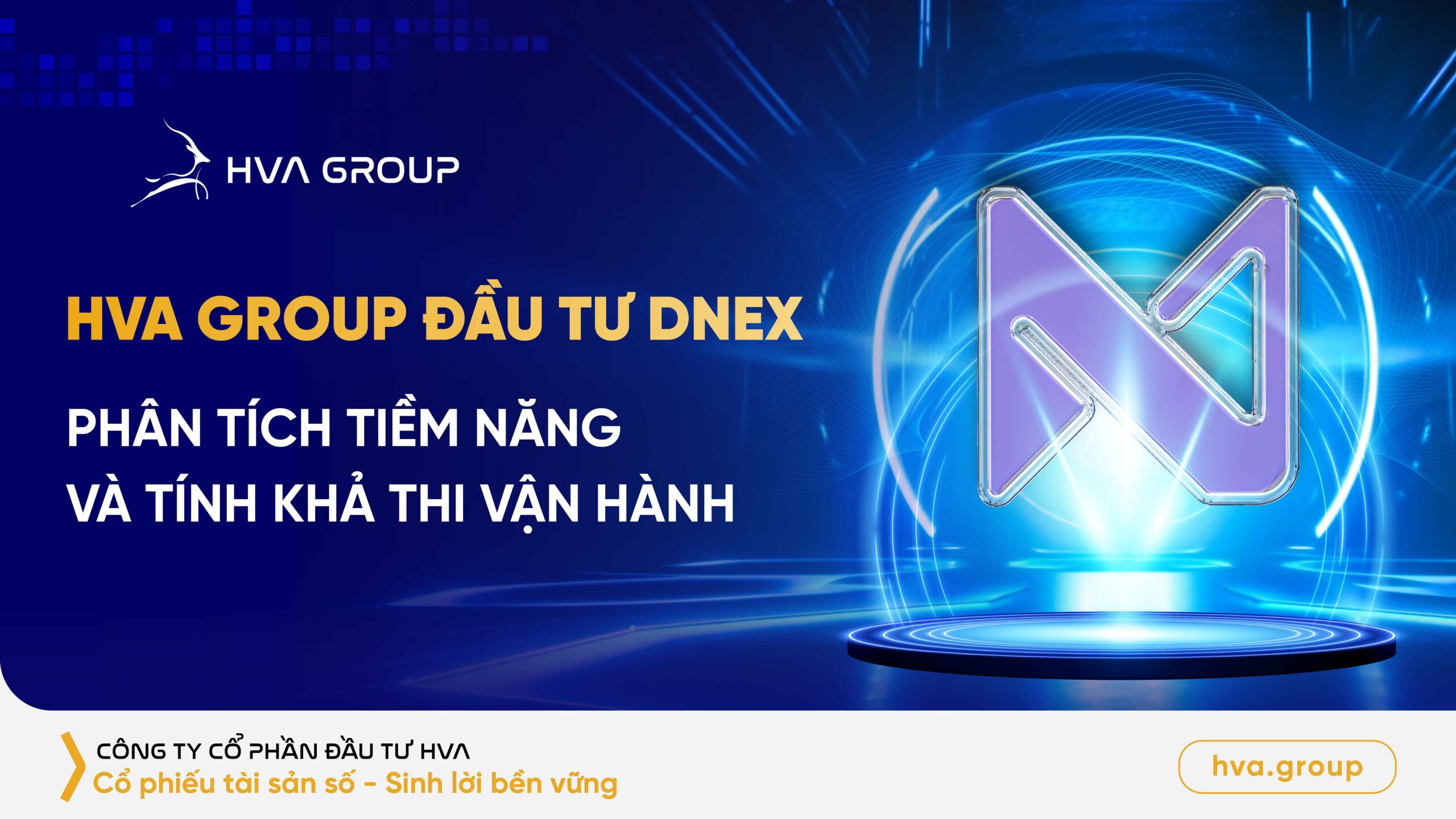 HVA Group invests in DNEX: Analysis of potential and operational feasibility