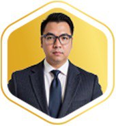 Mr. Ho Trung Dinh