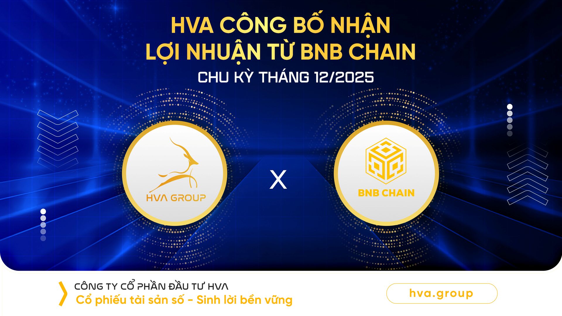 HVA CÔNG BỐ NHẬN LỢI NHUẬN TỪ BNB CHAIN CHU KỲ THÁNG 12/2025