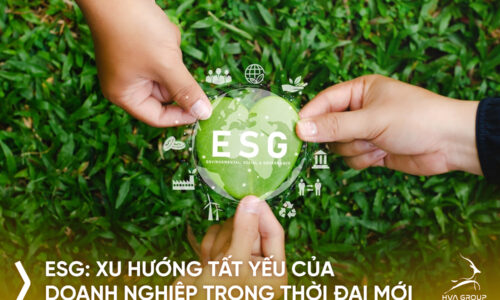 Bài viết ESG