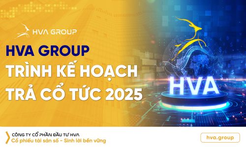 HVA Group trình kế hoạch trả cổ tức 2025