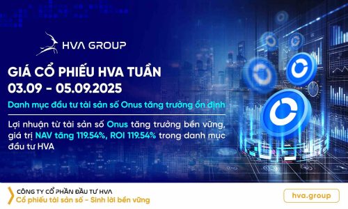 Giá cổ phiếu HVA tuần 03/09-05/08: Danh mục đầu tư BTC tăng trưởng ổn định