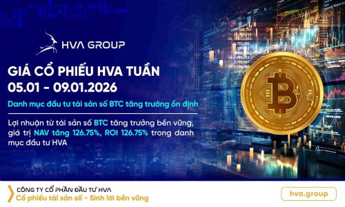 Giá cổ phiếu HVA tuần 12/01-16/01: Danh mục đầu tư BTC tăng trưởng ổn định