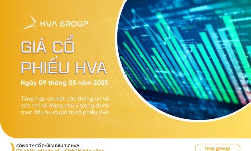 GIÁ CỔ PHIẾU HVA NGÀY 09/05/2025