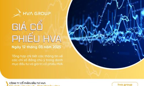 GIÁ CỔ PHIẾU HVA NGÀY 12/03/2025