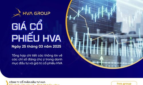 GIÁ CỔ PHIẾU HVA NGÀY 25/03/2025