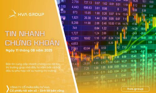 Tin nhanh chứng khoán ngày 11-08-2025