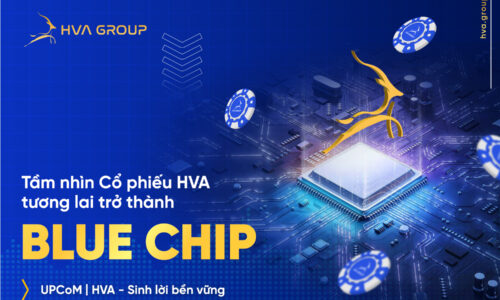 TAM-NHIN-CO-PHIEU-TRO-THANH-BLUE-CHIP-1