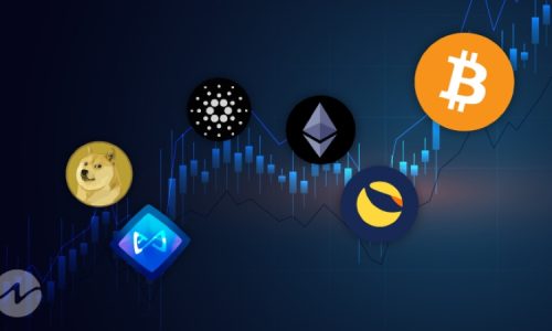 Altcoin season là gì? Cách tận dụng cơ hội trong mùa Altcoin