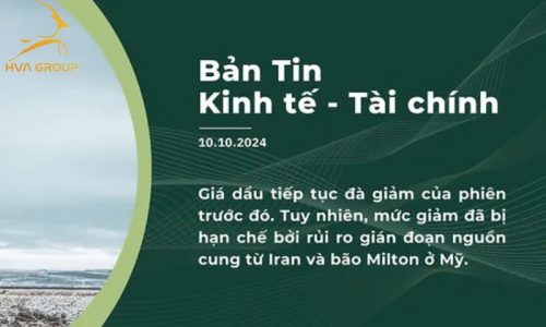 BẢN TIN KINH TẾ TÀI CHÍNH NGÀY 10.10.2024