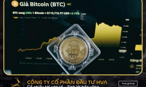 Bitcoin Lập ATH Mới 116.000 USD – Động Lực Tăng Trưởng Mạnh Cho Hệ Sinh Thái Tài Sản Số