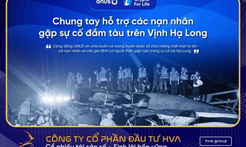 Crypto For Life: Chung Tay Hỗ Trợ Các Nạn Nhân Vụ Đắm Tàu Trên Vịnh Hạ Long 