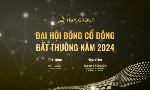 ĐẠI HỘI ĐỒNG CỔ ĐÔNG BẤT THƯỜNG NĂM 2024