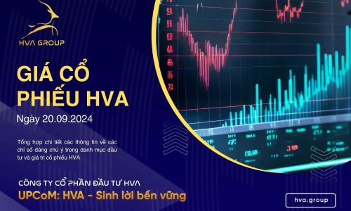 GIÁ CỔ PHIẾU HVA NGÀY 20/09/2024