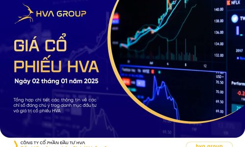 GIÁ CỔ PHIẾU HVA NGÀY 02/01/2025
