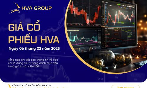 GIÁ CỔ PHIẾU HVA NGÀY 06/02/2025