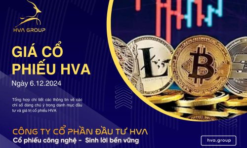 GIÁ CỔ PHIẾU HVA NGÀY 06/12/2024