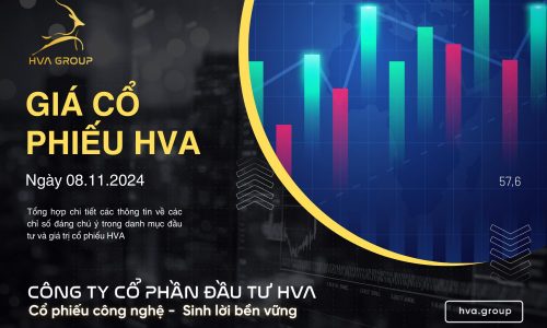 GIÁ CỔ PHIẾU HVA NGÀY 08/11/2024