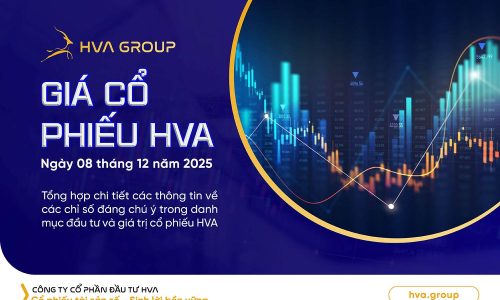gia-co-phieu-hva-ngay-08-12-2025.jpeg