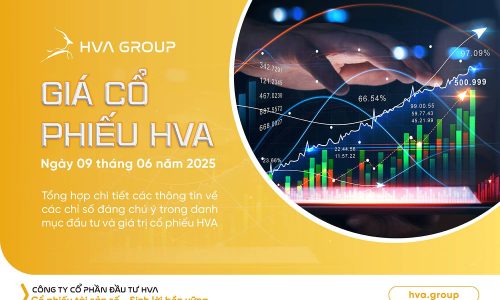 Giá cổ phiếu HVA ngày 09.06.2025