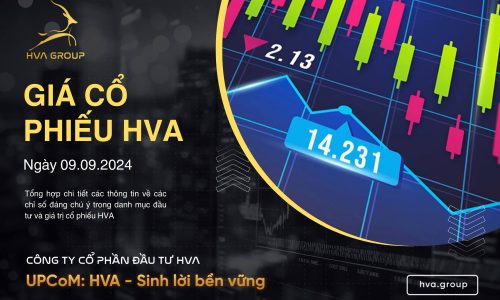 GIÁ CỔ PHIẾU HVA NGÀY 09/09/2024