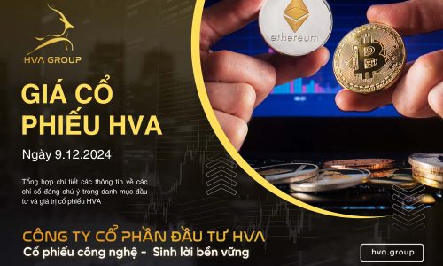 GIÁ CỔ PHIẾU HVA NGÀY 09/12/2024