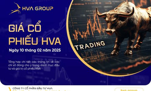 GIÁ CỔ PHIẾU HVA NGÀY 10/02/2025