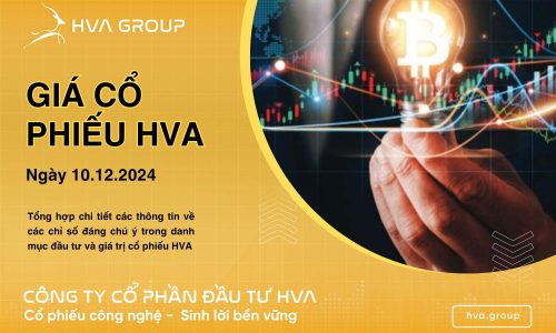 GIÁ CỔ PHIẾU HVA NGÀY 10/12/2024