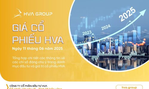 Giá cổ phiếu HVA ngày 11.06.2025