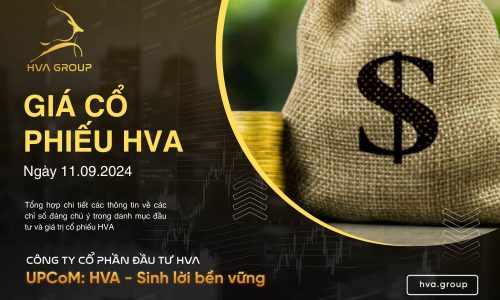 GIÁ CỔ PHIẾU HVA NGÀY 11/09/2024