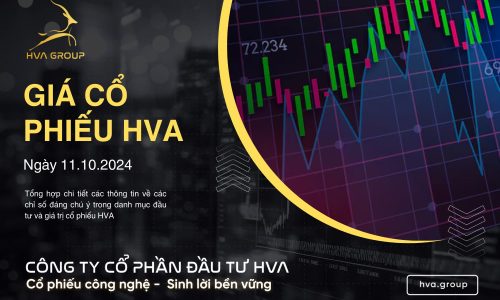 GIÁ CỔ PHIẾU HVA NGÀY 11/10/2024