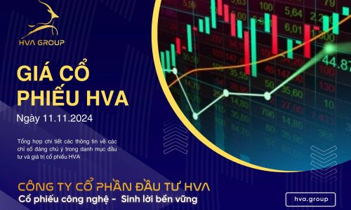 GIÁ CỔ PHIẾU HVA NGÀY 11/11/2024