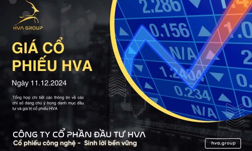 GIÁ CỔ PHIẾU HVA NGÀY 11/12/2024