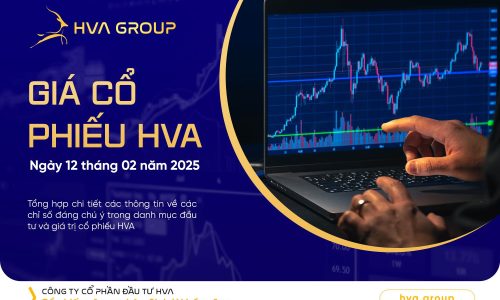 GIÁ CỔ PHIẾU HVA NGÀY 12/02/2025