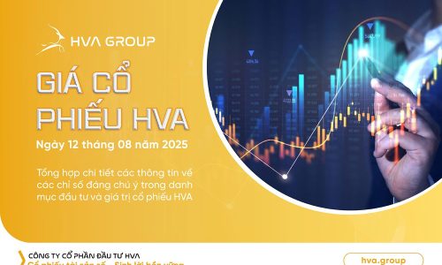 gia-co-phieu-hva-ngay-12-08-2025.jpeg