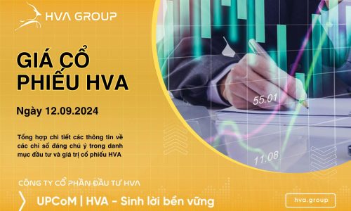 GIÁ CỔ PHIẾU HVA NGÀY 12/09/2024