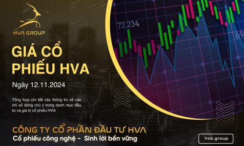 GIÁ CỔ PHIẾU HVA NGÀY 12/11/2024